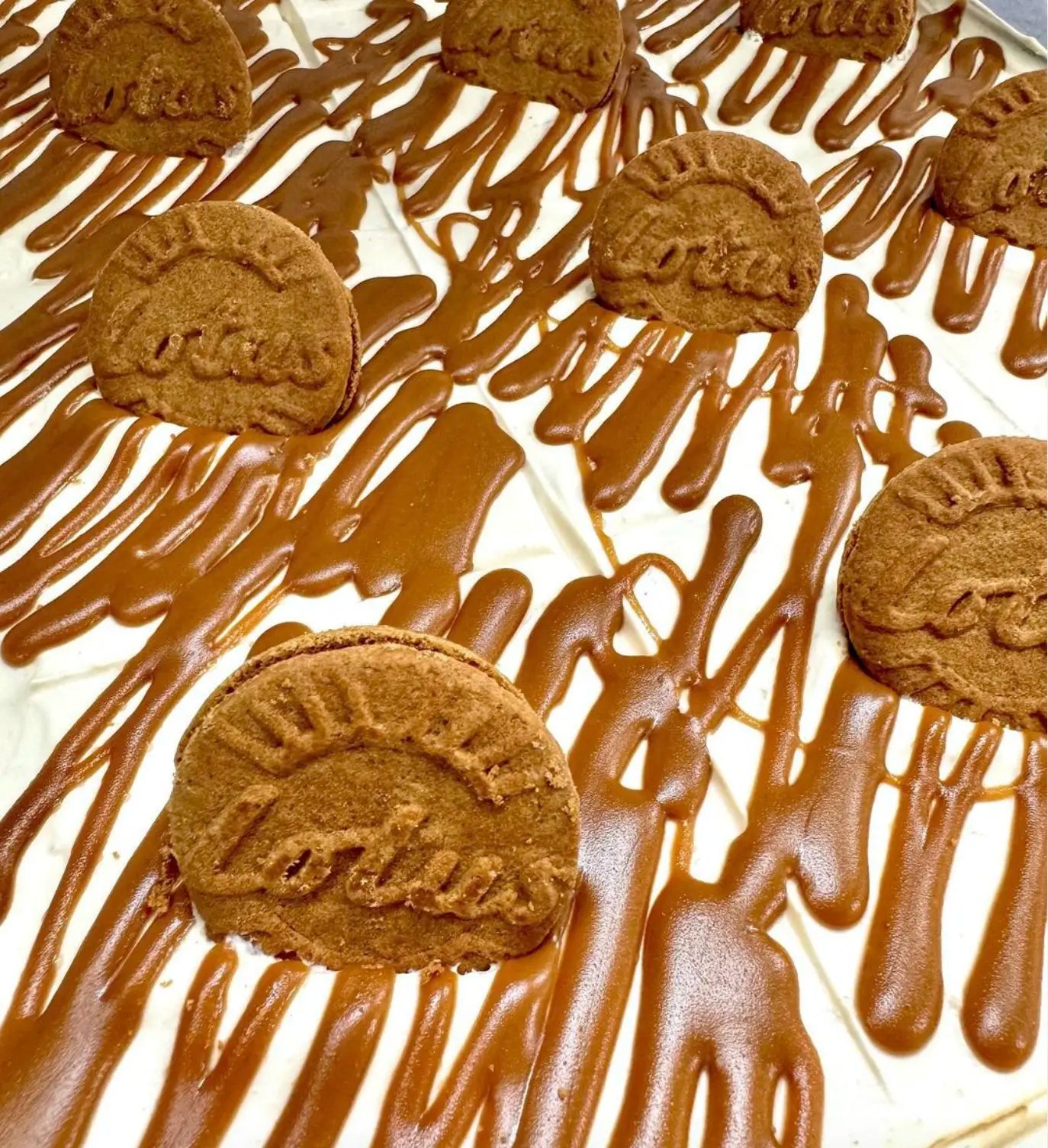 A tray of creamy Trilece cake topped with caramelized biscuit spread and whole Lotus Biscoff biscuits.